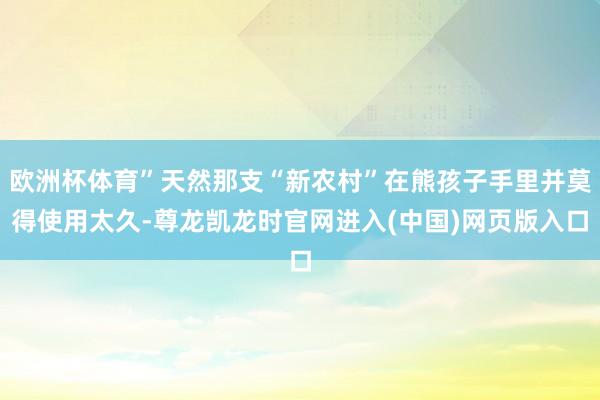 欧洲杯体育”天然那支“新农村”在熊孩子手里并莫得使用太久-尊龙凯龙时官网进入(中国)网页版入口